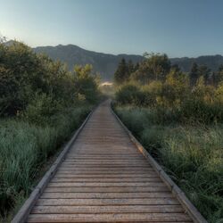 Panoramablick im Sommer