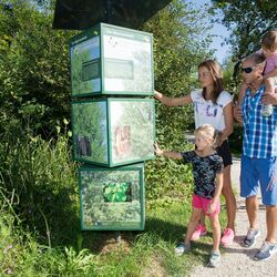 Station Moorandwald im Moor-Erlebnis-Pfad Inzeller Filzen