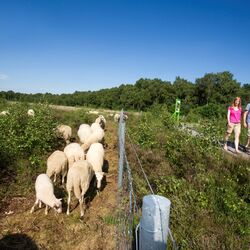 Entlang am MoorInfoPfad Esterwegen