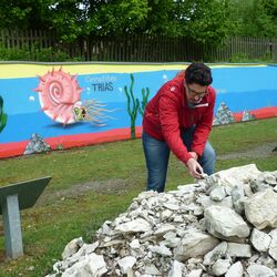 Ist das etwa eine versteinerte Muschel? Der Park lädt zum Mitmachen und Entdecken ein. 