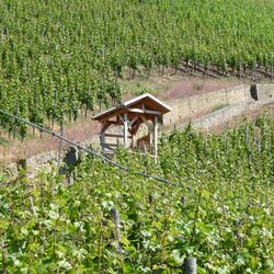 Die überdachte Bodenstation an der Station Vogelsburg