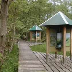 Bodenerlebnispfad im Wildpark