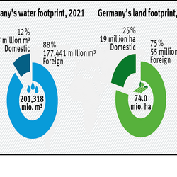 Nexus water and land footprint