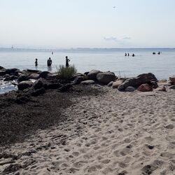 Sandstrand mit Badenden, im Vordergrund Treibsel.