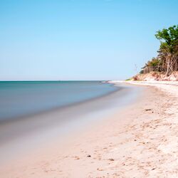 Menschenleerer Sandstrand mit Bäumen im Hintergrund.