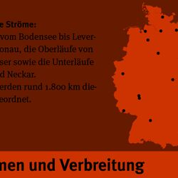 Karte die das Vorkommen in Deutschland von kiesgerägten Ströme aufzeigt.