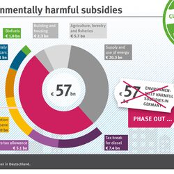 The infographic shows which subsidies should be phased out.
