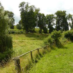 Wiesen und Bäume im hügeligen Gelände im Sommer mit der Station in einer Baumgruppe