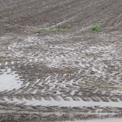 Foto mir Wasser auf einem Acker