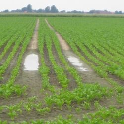 Foto mit Wasser in einer Bearbeitungsspur