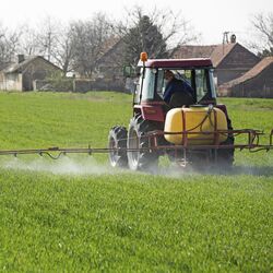 ein Traktor spritzt Pestizide auf einem Feld