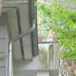 weiße Hausfassade, unter einem Balkongeländer, wo häufig Wasser die Fassade herunterfließt, hat sich ein grüner Belag gebildet