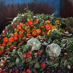 Obst- und Gemüseabfall auf einem Haufen