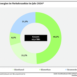 Ein Ringdiagramm stellt für das Jahr 2024 die Zusammensetzung der erneuerbaren Energien im Verkehrssektor dar. Den größten Anteil hat Biodiesel, gefolgt von Bioethanol.