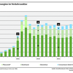 Darstellung des Erneuerbaren-Anteils im Verkehrssektor nach verschiedenen Biokraftstoffen und erneuerbarem Strom. 