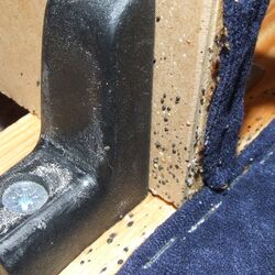 an einem Bettgestell aus Holz sind Bettwanzen und deren Kotspuren zu sehen