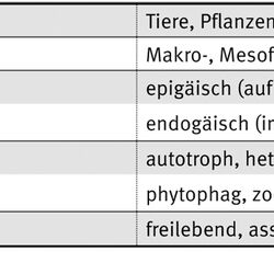 Chart shows the criteria for dividing soil organism: taxonomy, size, occurence, diet and distribution in the rhizosphere