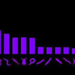 The bar chart shows how many of the individual species live in soil. Trillions of bacteria live there, whereas only below 100 woodlouses are found in soil.