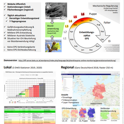 Online-Tool PHENTHAUproc