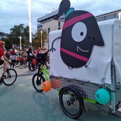 Fahrradfahren in Kassel