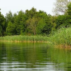 Wasserqualität in Seen