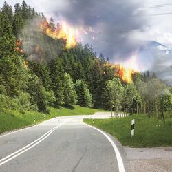 The picture shows a road leading along the edge of a forest. Flames shoot up from the forest and large clouds of smoke rise into the sky. 
