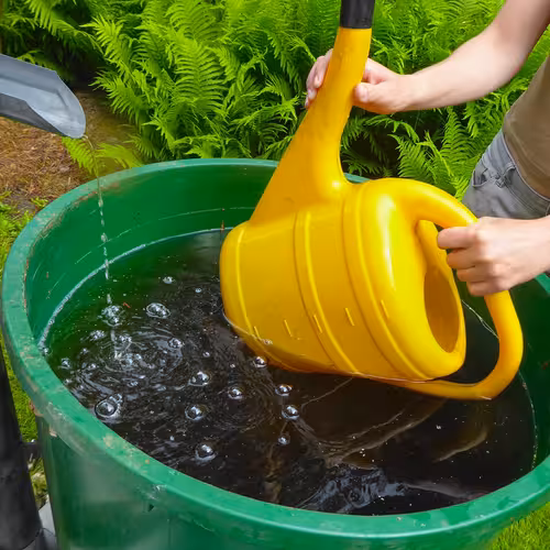 Tipps für eine nachhaltige Regenwassernutzung