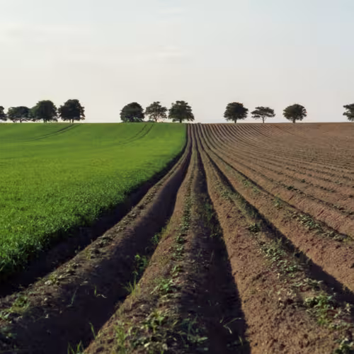 Land-Fußabdruck: Wieviel Landfläche benötigt Deutschlands Konsum?
