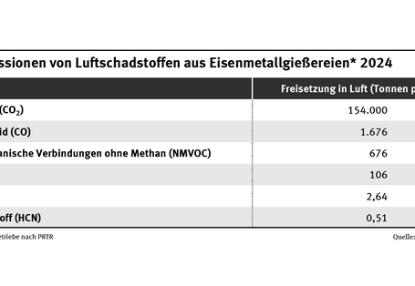 Die Tabelle zeigt die TOP 6 der Luftschadstoffemissionen, die im Jahr 2024 von Eisenmetallgießereien berichtet wurden.