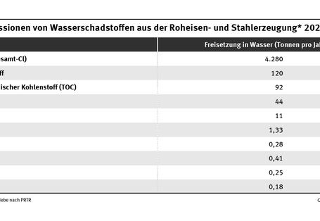 Die Tabelle zeigt die TOP 10 der Wasserschadstoffemissionen, die im Jahr 2024 von PRTR-Betrieben der Roheisen- und Stahlerzeugung berichtet wurden.