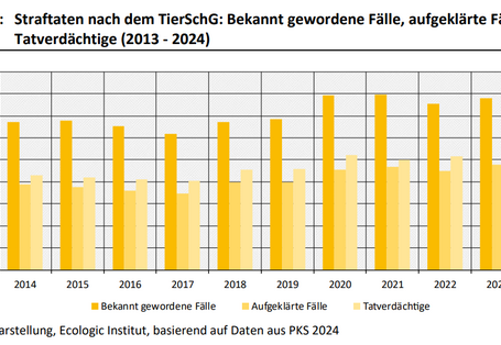 Dies ist ein Balkendiagramm. Die bekannt gewordenen Fälle, aufgeklärten Fälle und die Tatverdächtigen für Straftaten nach dem TierSchG nahmen über die Jahre 2013 bis 2024 leicht zu, von 6.573 Fälle im Jahr 2013 bis 7.657 Fälle im Jahr 2024. Die Aufklärungsquote stieg allerdings ebenfalls im Berichtszeitraum, sie lag zwischen 2013 und 2024 zwischen 55 % und 63 %. 