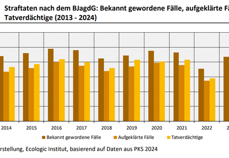 Dies ist ein Balkendiagramm. Die Anzahl der bekannt gewordenen Fälle der Straftaten nach dem BJagdG lag zwischen 2013 und 2024 relativ konstant zwischen knapp 80 und 100 Fällen. Nur 2022 wurde eine etwas geringere Anzahl von Fällen erfasst. Die Aufklärungsquote schwankte in den Jahren 2013 bis 2024 zwischen 76 % und 89 %, wobei 2024 der höchste Wert erreicht wurde. 