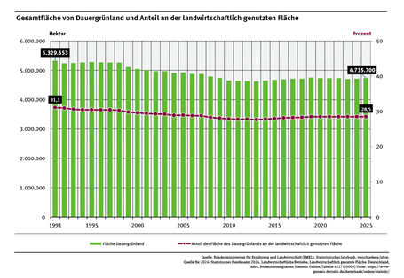 Ein Diagramm zeigt die Dauergrünlandfläche und ihren Anteil an der landwirtschaftlich genutzten Fläche von 1991 bis 2025. Beide Indikatoren zeigen vor 2013 einen rückläufigen Trend und sind nach 2013 wieder etwas gestiegen. Zuletzt stagnierten die Werte. 