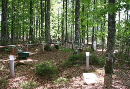 Das Foto ist in einem Buchenwald aufgenommen und zeigt verschieden Trichter und Rinnen zur Erfassung des Niederschlags. 