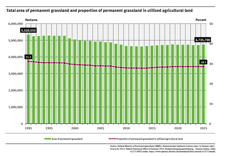 A graph shows the area of permanent grassland and its share of the total agricultural area from 1991 to 2025. Both indicators have been declining until 2013 and have then increased in the years that followed. Most recently, the values have stagnated. 