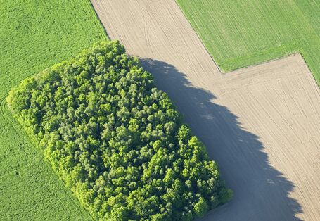 Ein Feld aus der Vogelperspektive