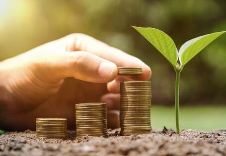 Haushaltspolitik als Instrument der Umweltlenkung