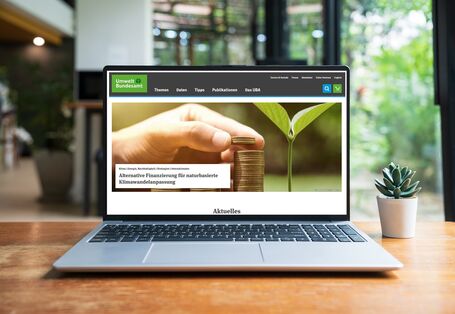 UBA website displayed on a laptop