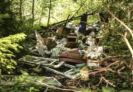 illegal im Wald entsorgter Sperrmüll und anderer Abfall