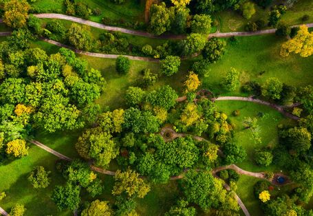 Auf dem Bild ist eine Landschaft zu sehen mit Bäumen und Wiesen. Durch diese Wiesen und zwischen den Bäumen hindurch gehen viele Wege.