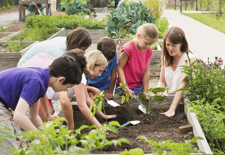 Schülerinnen und Schüler im Grundschulalter bauen mit einer Lehrerin auf einem Hochbeet Gemüse an