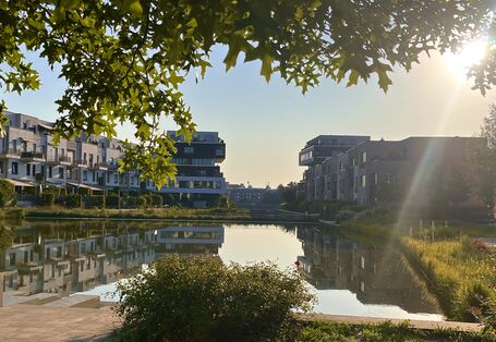 Das Foto zeigt ein großes Wasserbecken im Neubauquartier Berlin-Grünau, das sich aus Niederschlagswasser der umliegenden Dächer speist.