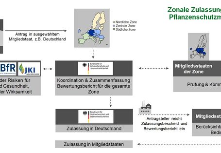 Das Bild zeigt das komplizierte Zulassungsverfahren für Pflanzenschutzmittel, wie im Text beschrieben.