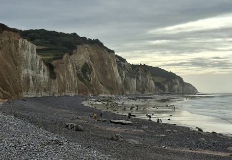 Das Bild zeigt die verwitterten Kreidefelsen an der Küste und das Meer bei Ebbe an einem leicht verregneten Tag mit Wolken. Dieser natürliche Prozess dient als Vorlage für Methoden wie Ozean-Alkalinisierung und Verwitterung zur Entnahme von CO2 aus der Atmosphäre.