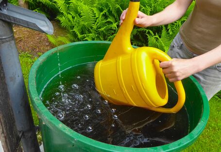 Foto von der Seite. Ein Mensch hält eine große gelbe Gieß-Kanne in eine grüne Regen-Tonne. Die Tonne ist voll mit Wasser. Links fließt frisches Regen-Wasser aus einer grauen Dach-Rinne in die Tonne. Im Hintergrund wachsen grüne Pflanzen.