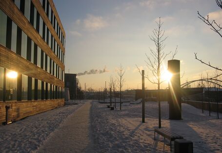 Winterlicher Sonnenuntergang am Umweltbundesamt