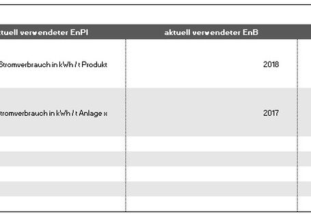 Grafik Element 12 - Managementbewertung: Energiebezogene Leistung