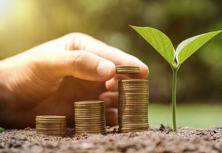 eine Hand stapelt Geldmünzen neben einem grünen Pflanzenkeimling