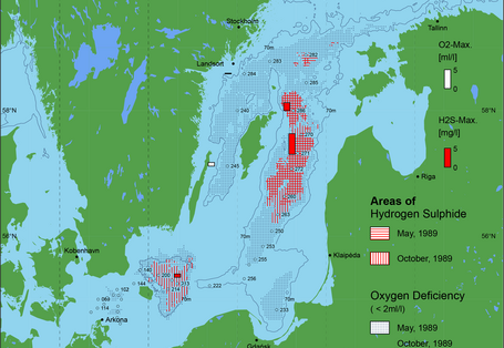 Sauerstoffarme und sauerstofffreie Gebiete in der Ostsee - 1989