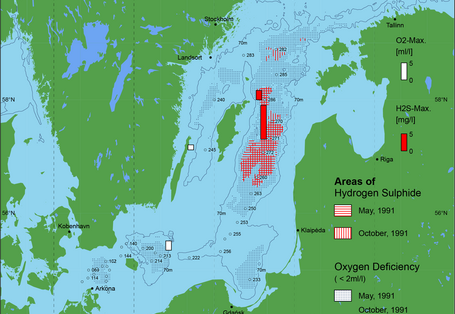 Sauerstoffarme und sauerstofffreie Gebiete in der Ostsee - 1991